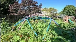 Load video: creative garden ideas